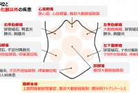 12 恥骨 押す と 痛い 女性 2023