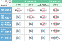 6 扶養 範囲 内 住民 税 2024